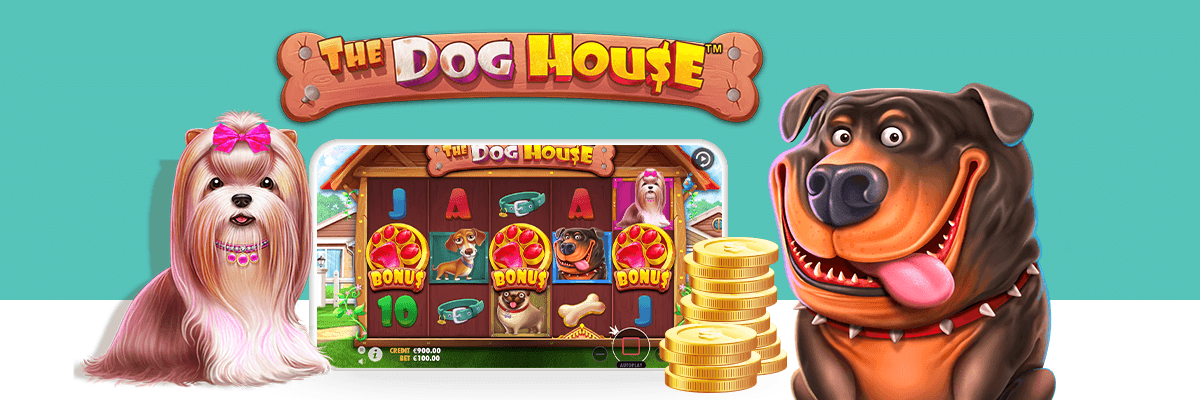 Cara Bermain Slot Dog House agar Konsisten Menang di Game Slot